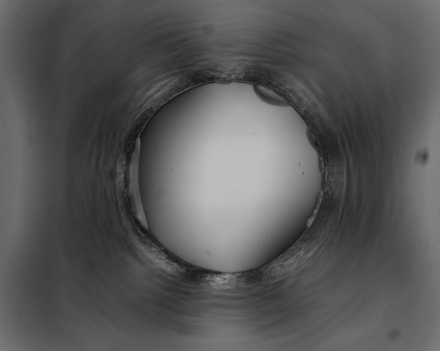 X0000098080092200804251523