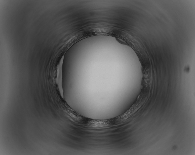 X0000098080093200804251523