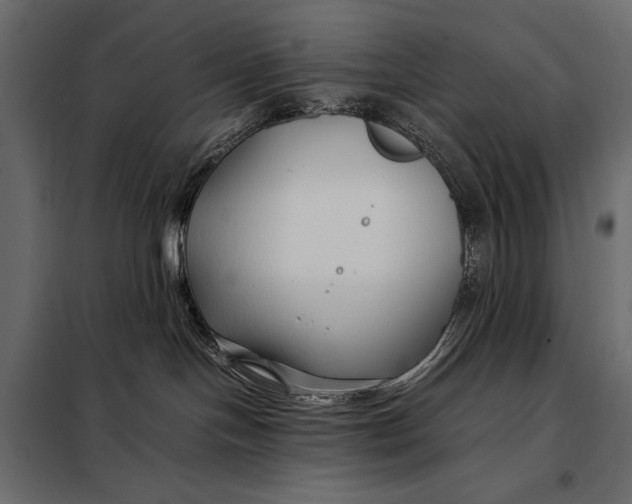 X0000098080094200804251523