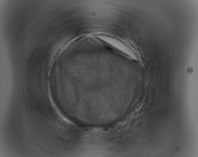 X0000098080097200804251523