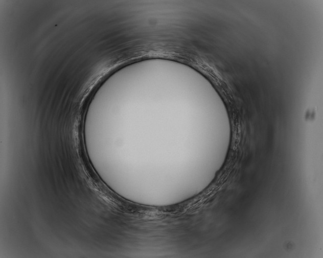 X0000098080098200804251523