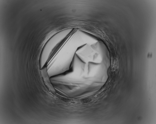 X0000098080099200804251523