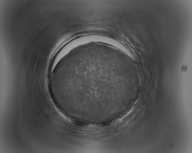 X0000098080101200804251522