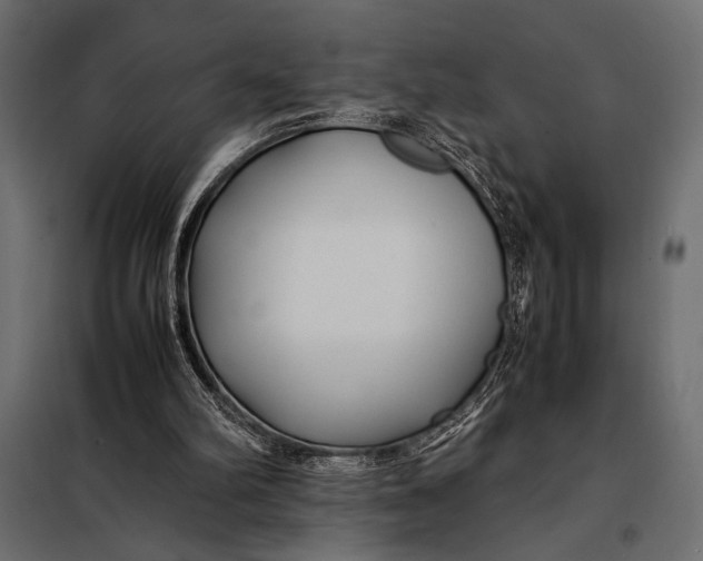 X0000098080102200804251522