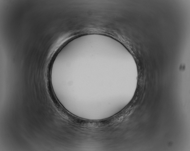 X0000098080103200804251522