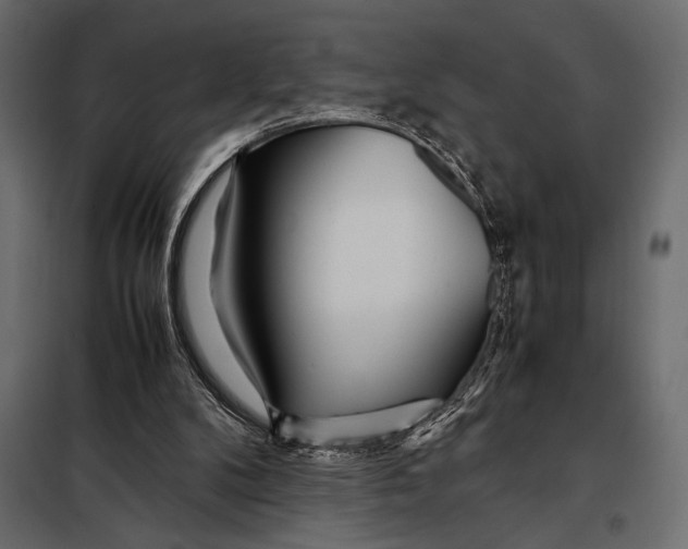 X0000098080104200804251522