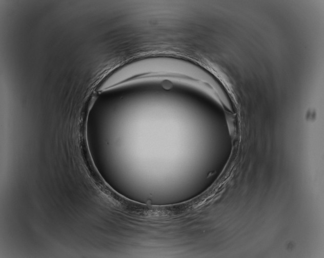 X0000098080105200804251522