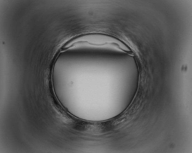 X0000098080107200804251522