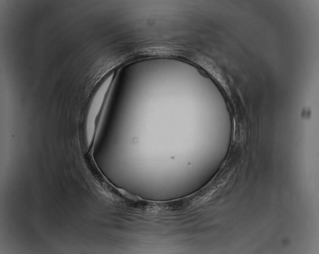 X0000098080109200804251522