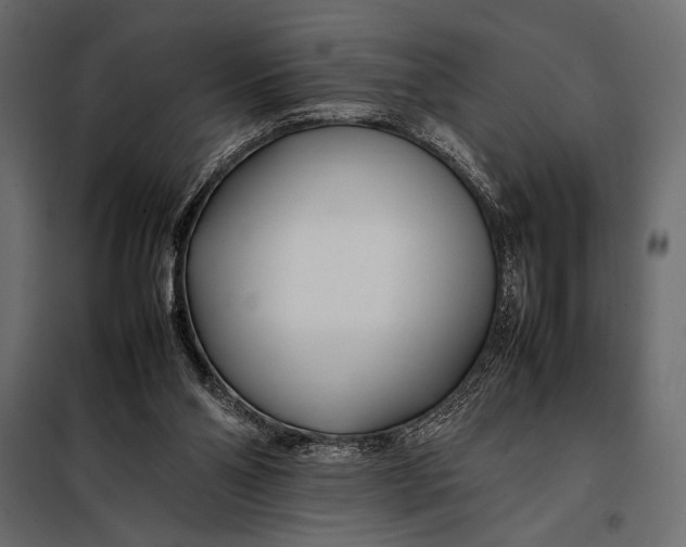 X0000098080110200804251522