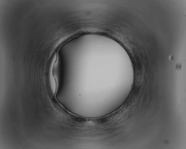 X0000098080111200804251522