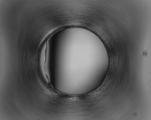 X0000098080112200804251522