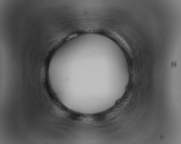 X0000098080113200804251522