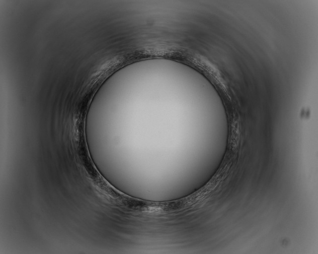 X0000098080114200804251522