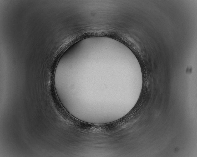 X0000098080115200804251522