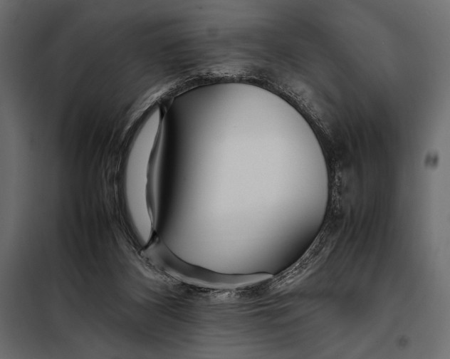 X0000098080116200804251522