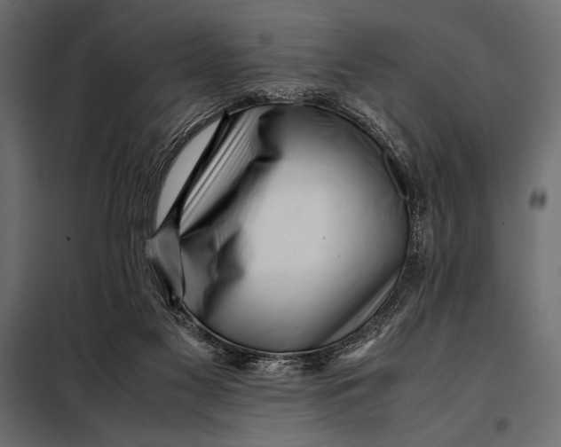 X0000098080117200804251522