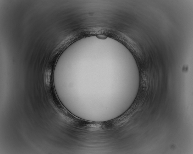 X0000098080118200804251522