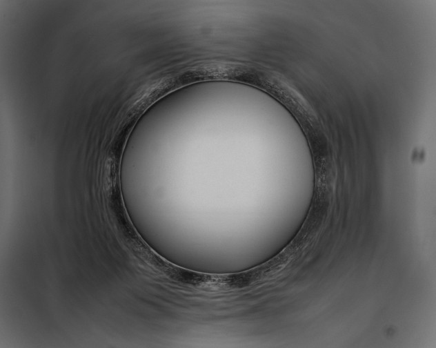 X0000098080119200804251522