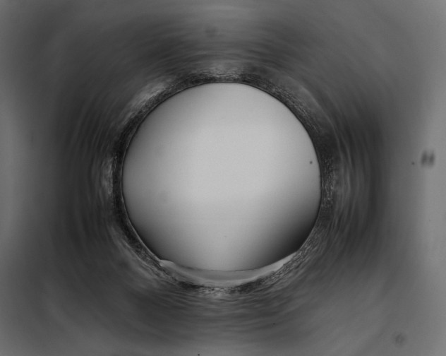 X0000098080120200804251522