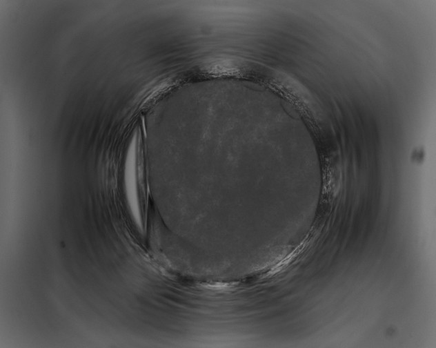 X0000098080124200804251522