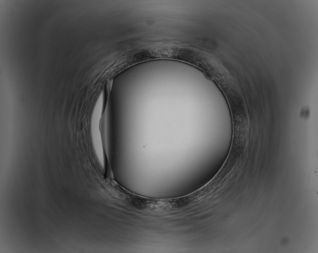 X0000098080125200804251522