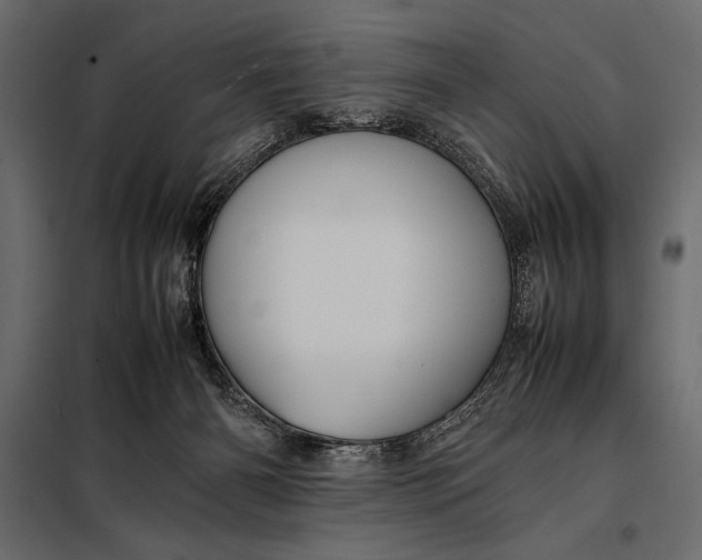 X0000098080126200804251522