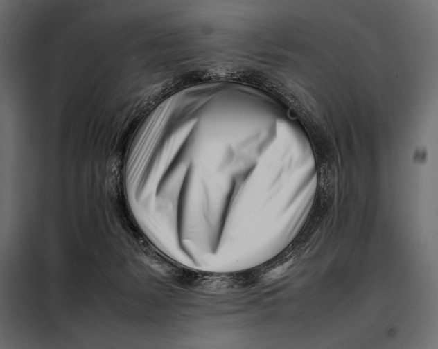 X0000098080127200804251522