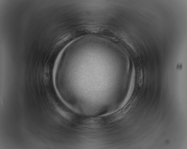 X0000098080128200804251522