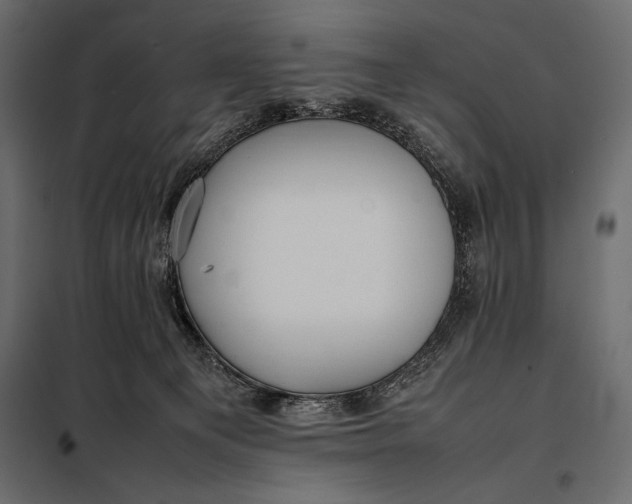 X0000098080129200804251522