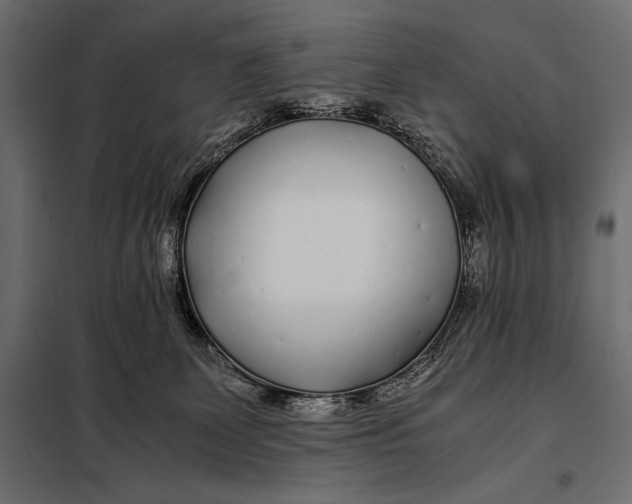 X0000098080131200804251522