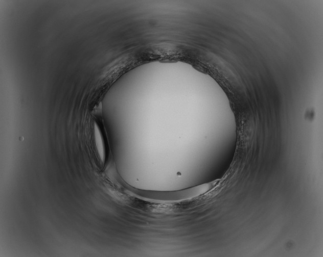 X0000098080132200804251522