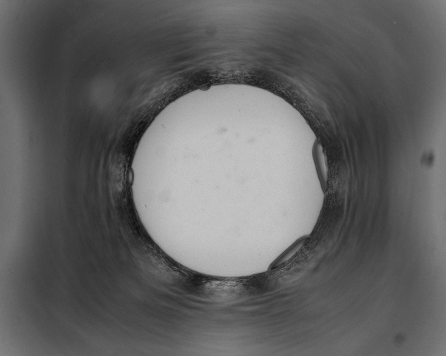 X0000098080133200804251522