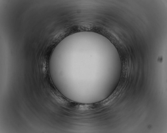 X0000098080134200804251522