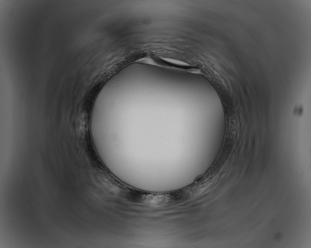 X0000098080135200804251522