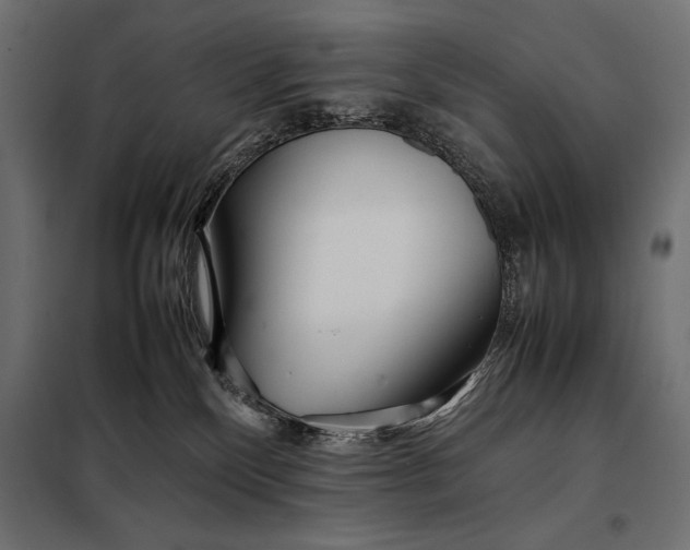 X0000098080136200804251522