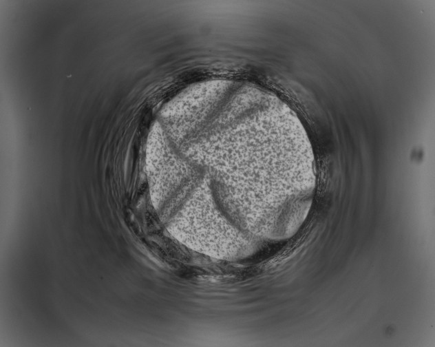 X0000098080137200804251522