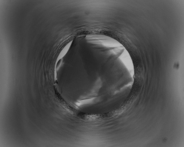 X0000098080139200804251522