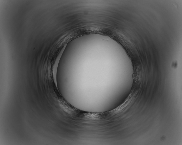 X0000098080140200804251522