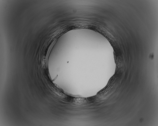 X0000098080141200804251522