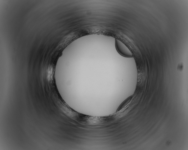 X0000098080142200804251522