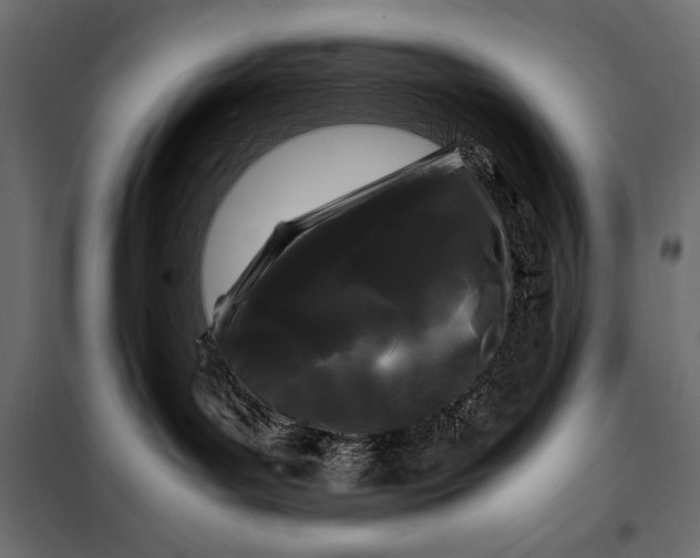 X0000098080143200804251522