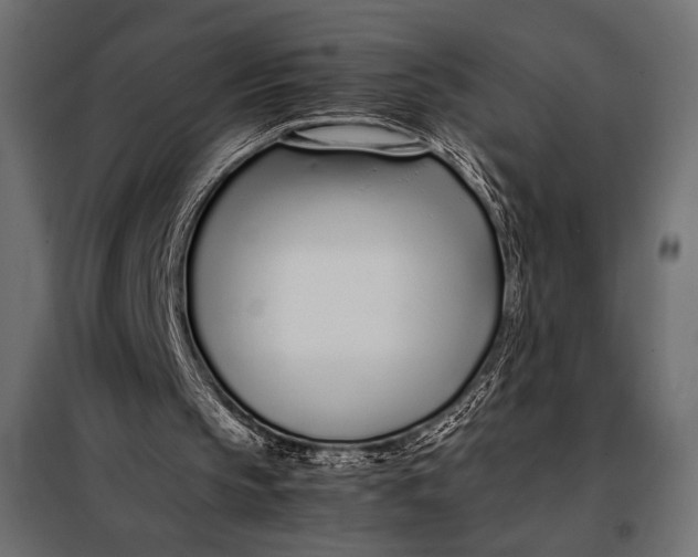 X0000098080145200804251521