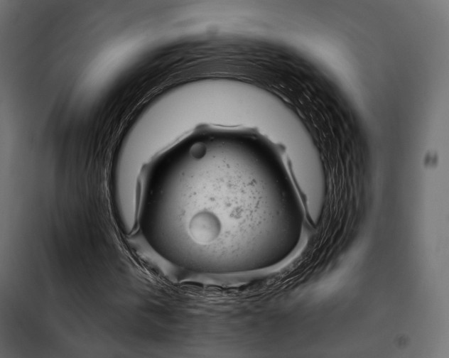 X0000098080146200804251521