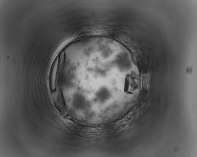 X0000098080147200804251521