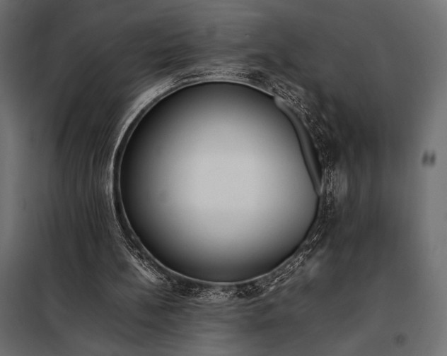 X0000098080148200804251521