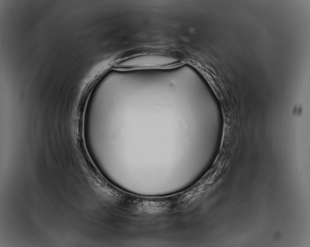 X0000098080149200804251521