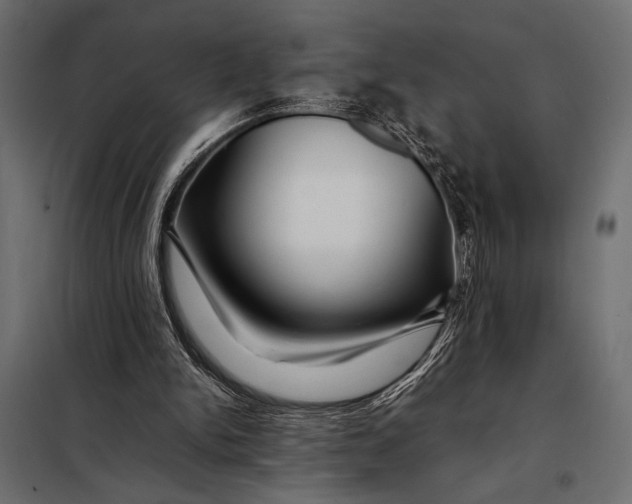 X0000098080150200804251521