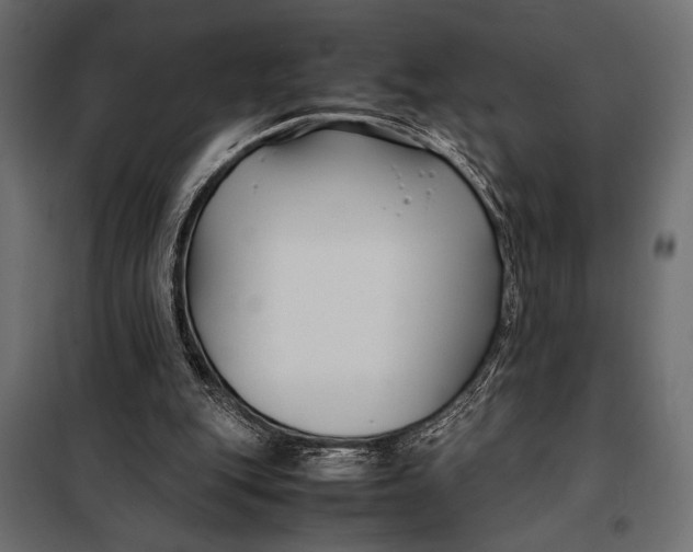 X0000098080151200804251521