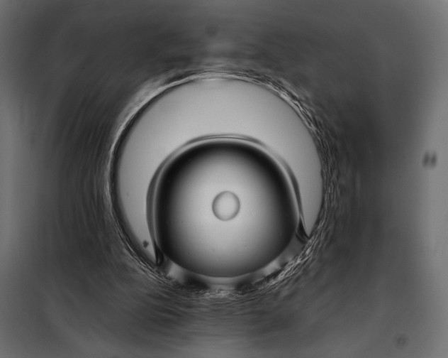 X0000098080152200804251521